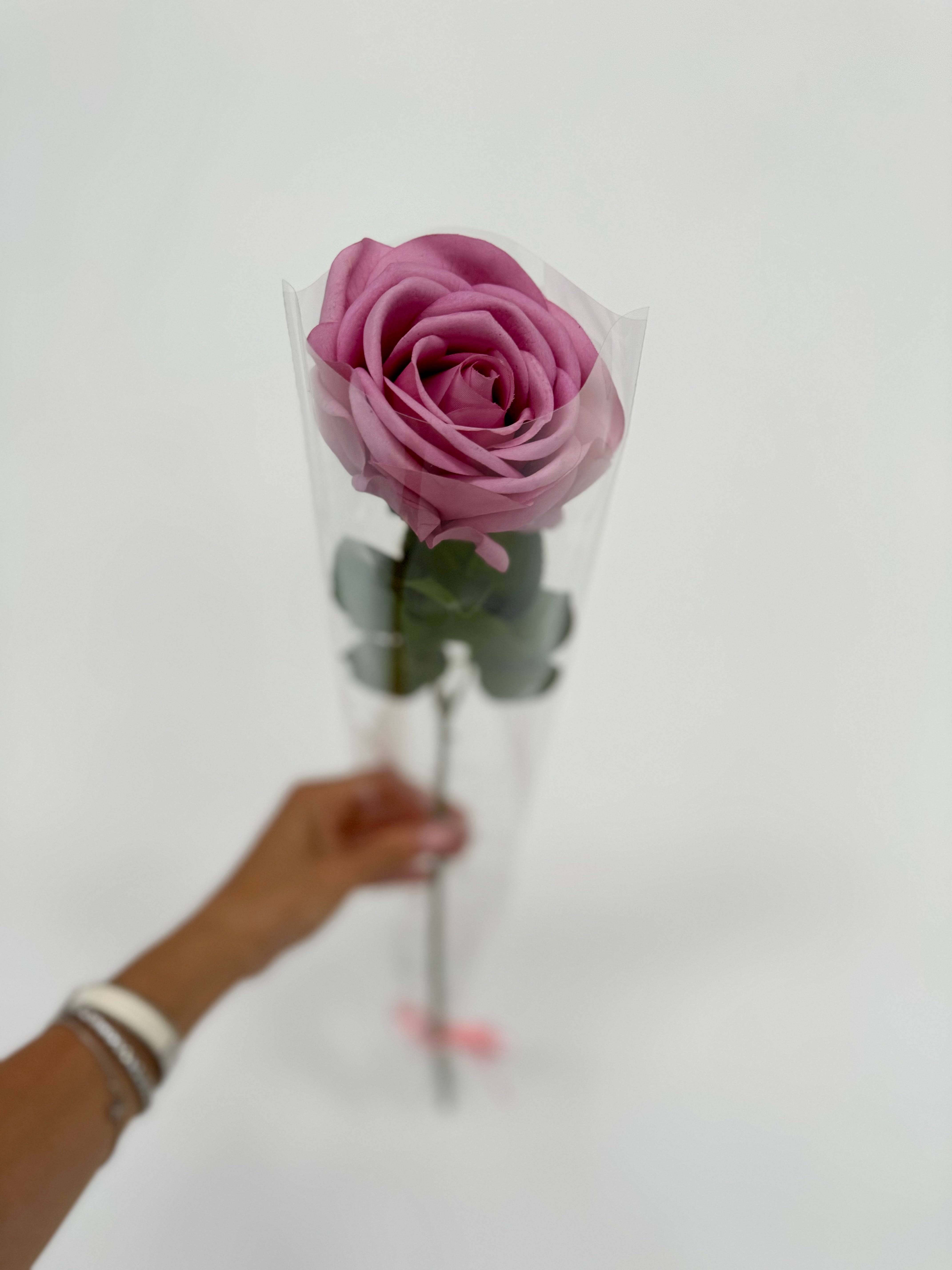 Infinity rose